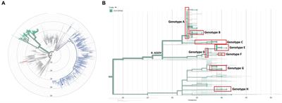 SARS-CoV-2 transmission dynamics in bars, restaurants, and nightclubs